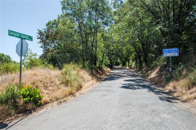 9600 Seigler Springs N Rd, Kelseyville, CA 95451 - photo 17