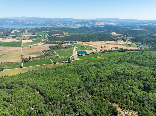 9600 Seigler Springs N Rd, Kelseyville, CA 95451 - photo 24