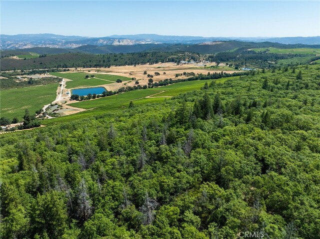 9600 Seigler Springs N Rd, Kelseyville, CA 95451 - photo 39