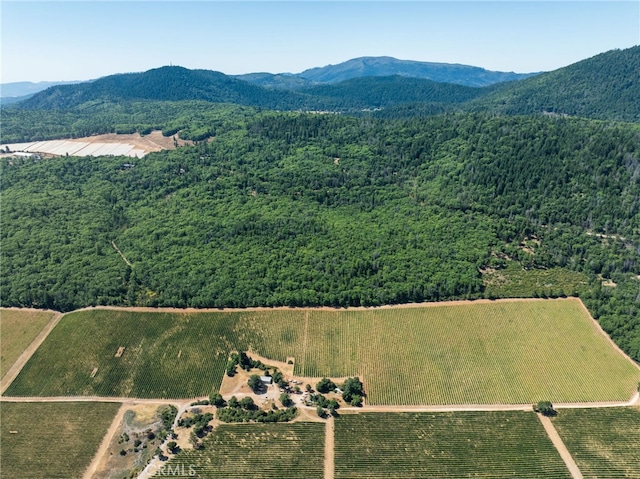 9600 Seigler Springs N Rd, Kelseyville, CA 95451 - photo 20