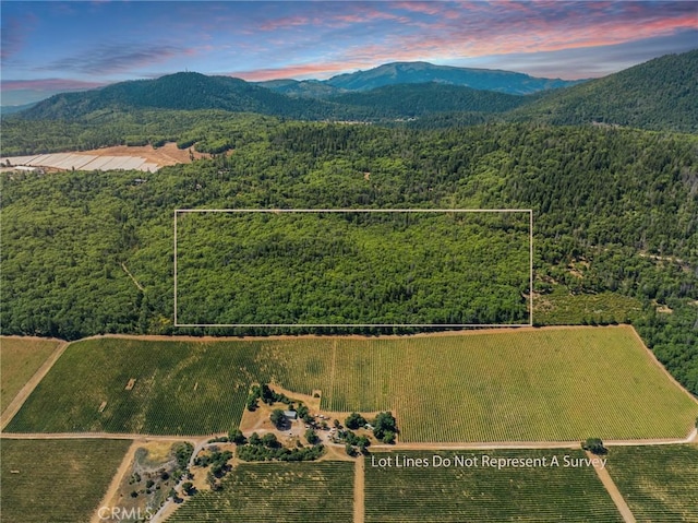 9600 Seigler Springs N Rd, Kelseyville, CA 95451 - photo 1