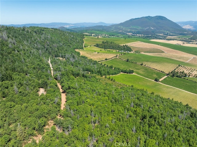 9600 Seigler Springs N Rd, Kelseyville, CA 95451 - photo 41