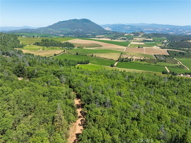 9600 Seigler Springs N Rd, Kelseyville, CA 95451 - photo 14