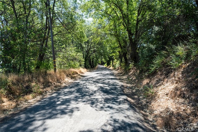 9600 Seigler Springs N Rd, Kelseyville, CA 95451 - photo 19