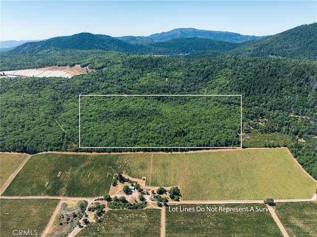 9600 Seigler Springs N Rd, Kelseyville, CA 95451 - photo 2
