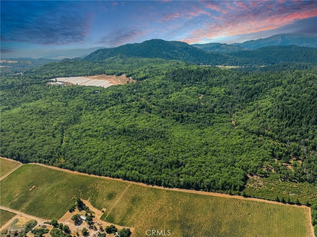 9600 Seigler Springs N Rd, Kelseyville, CA 95451 - photo 7