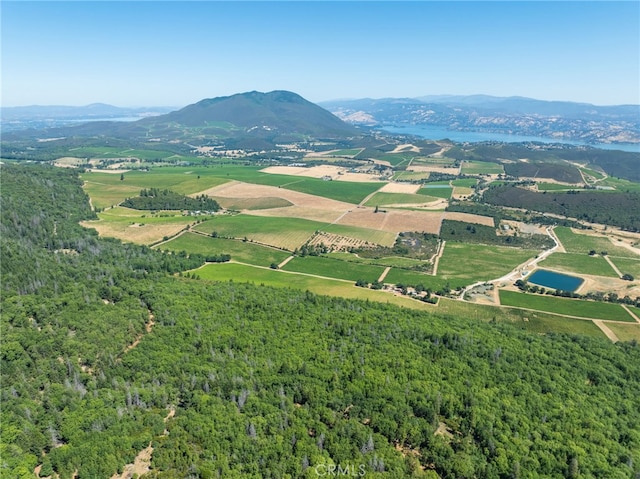 9600 Seigler Springs N Rd, Kelseyville, CA 95451 - photo 27