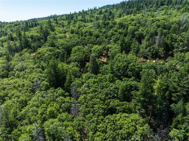 9600 Seigler Springs N Rd, Kelseyville, CA 95451 - photo 38