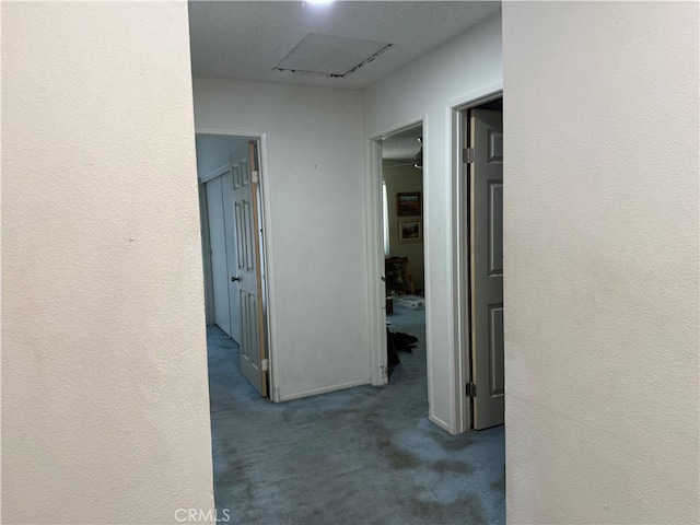 23020 Jensen Ct, Grand Terrace, CA 92313 - corridor featuring carpet and baseboards