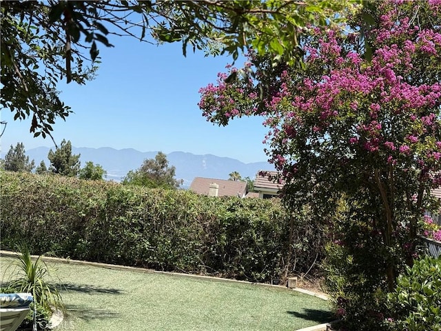 23020 Jensen Ct, Grand Terrace, CA 92313 - view of yard featuring a mountain view