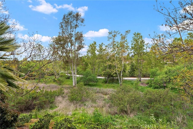 21 Rustling Wind Unit 21, Irvine, CA 92612 - photo 17