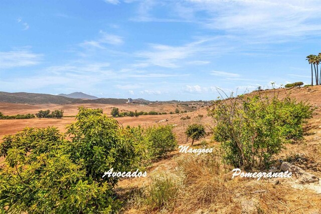 2732 Vista Del Piedra, Jamul, CA 91935 - photo 47
