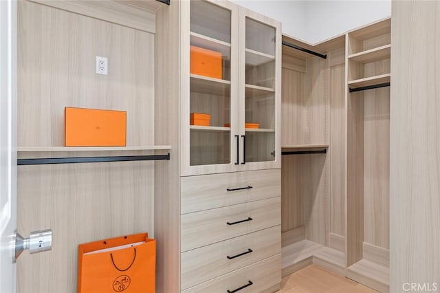 10413 Saint Anna Pl, Fountain Valley, CA 92708 - view of walk in closet