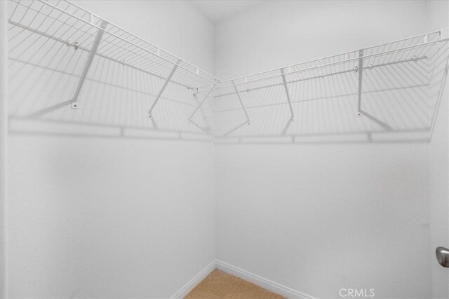 29045 Silver Stirrup Way, Winchester, CA 92596 - spacious closet with carpet flooring
