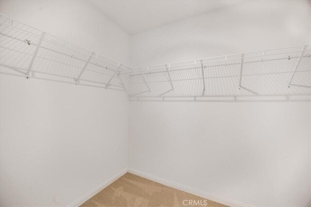 29045 Silver Stirrup Way, Winchester, CA 92596 - spacious closet featuring light carpet