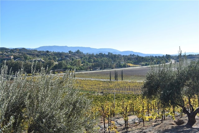 45211 Tioga St, Temecula, CA 92592 - mountain view with rural landscape