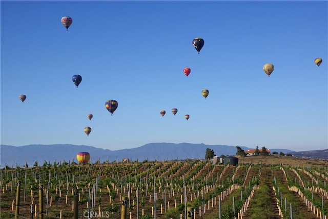 45211 Tioga St, Temecula, CA 92592 - mountain view featuring extensive farmland and rural landscape