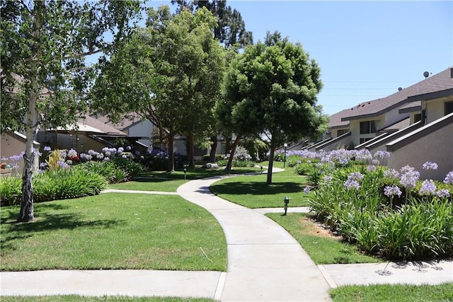 21301 Norwalk Blvd Unit 93, Hawaiian Gardens, CA 90716 - view of home's community featuring a yard