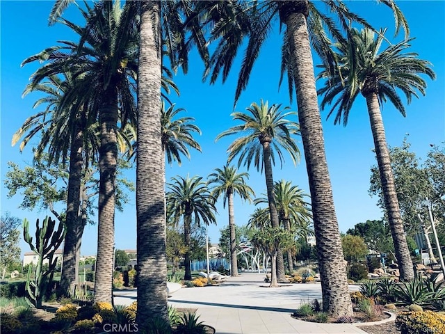 814 Beacon, Irvine, CA 92618 - view of property's community
