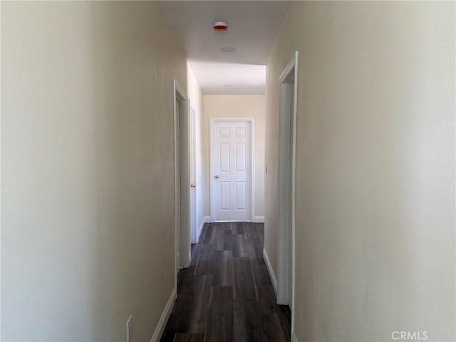 817 Orange Grove Ave, Colton, CA 92324 - photo 35