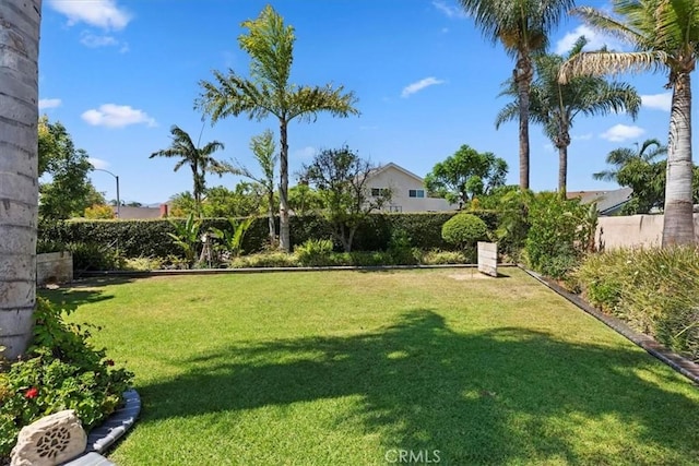 1110 Norcrest St, Corona, CA 92878 - view of yard