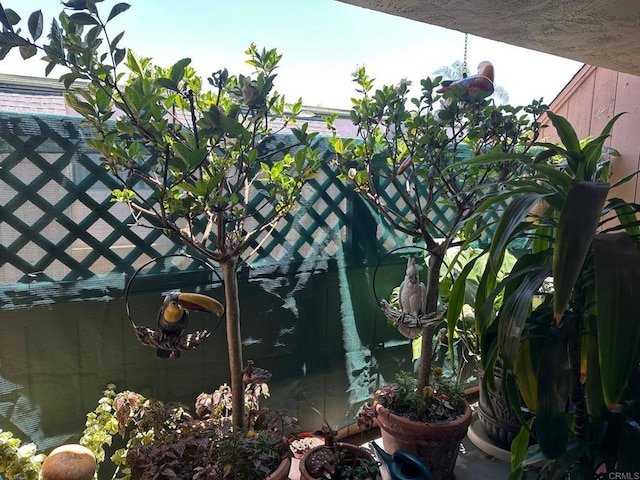 8733 Lake Murray Blvd Unit 6, San Diego, CA 92119 - view of yard