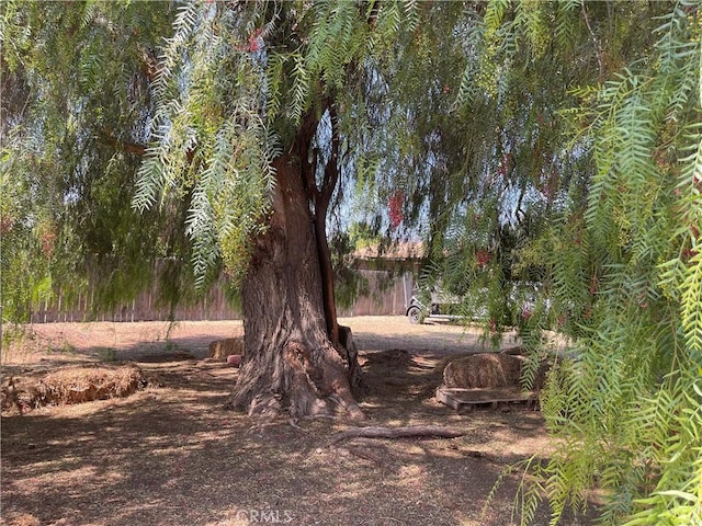 6255 Mitchell Ave, Riverside, CA 92505 - photo 19