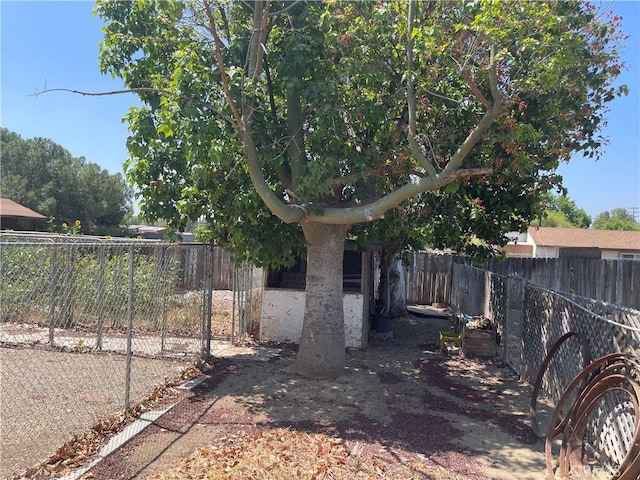 6255 Mitchell Ave, Riverside, CA 92505 - photo 17