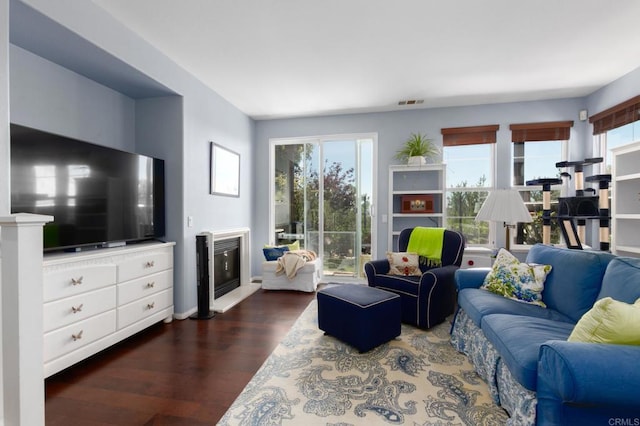 2078 Aviata Rd Unit 70, Chula Vista, CA 91914 - living area featuring dark wood-style floors and a glass covered fireplace