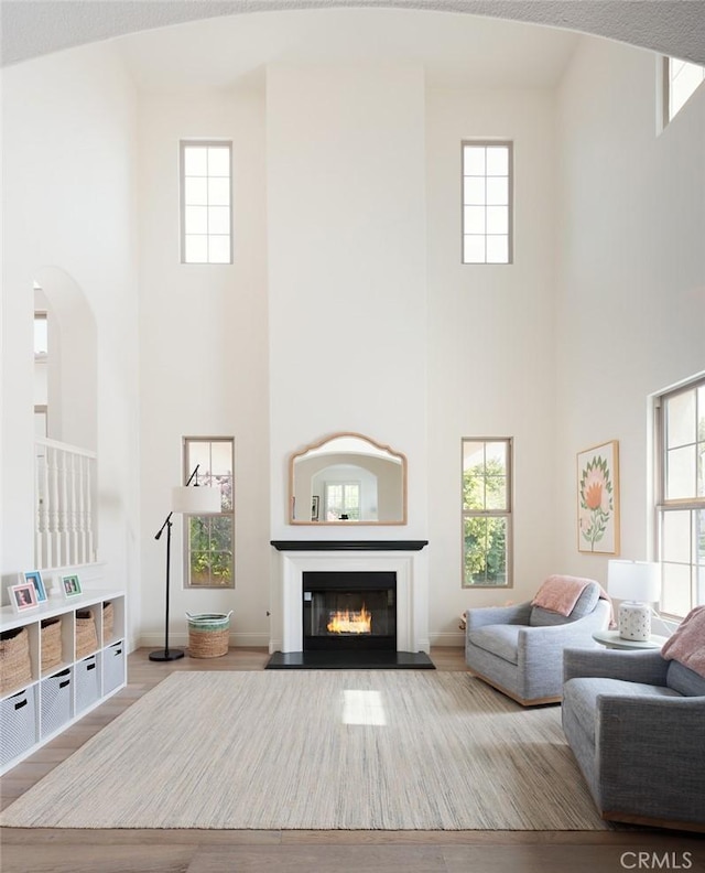 21 Via Nerisa, San Clemente, CA 92673 - living area featuring a high ceiling, wood finished floors, a glass covered fireplace, and arched walkways