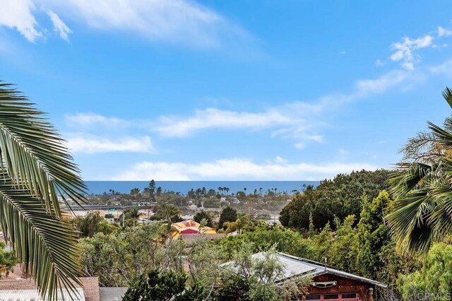 860 Nardo Rd, Encinitas, CA 92024 - water view