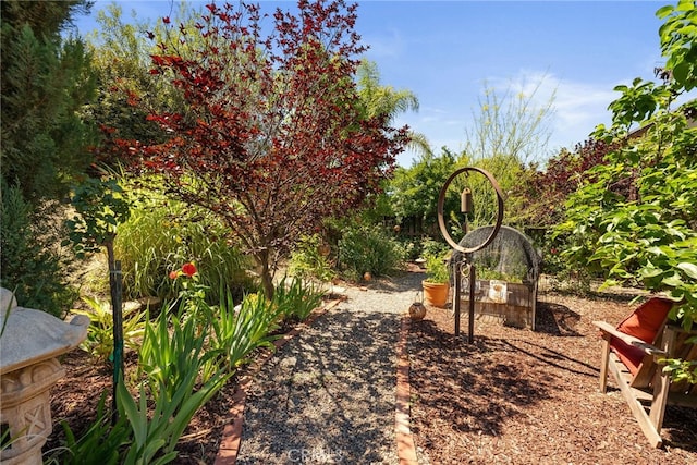 31986 Rosales Ave, Murrieta, CA 92563 - photo 41