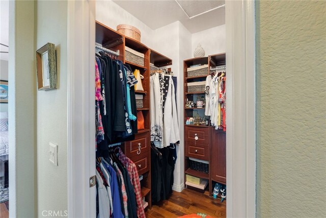 31986 Rosales Ave, Murrieta, CA 92563 - photo 50