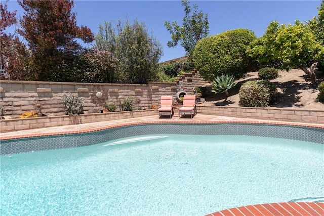 31032 Via Estenaga, San Juan Capistrano, CA 92675 - view of swimming pool