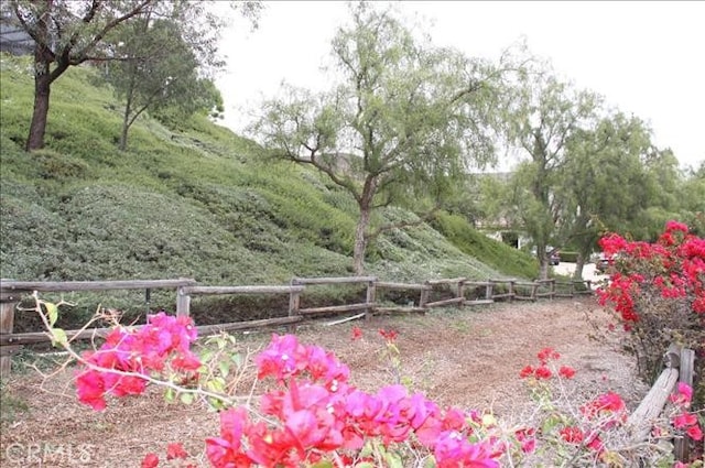 31032 Via Estenaga, San Juan Capistrano, CA 92675 - view of yard