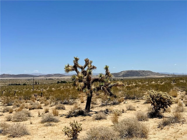 64200 Sullivan Rd, Joshua Tree, CA 92252 - photo 6