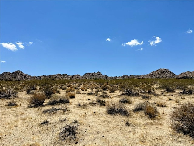 64100 Sullivan Rd, Joshua Tree, CA 92252 - photo 1
