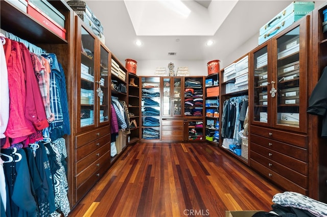 4642 Ohio St, Yorba Linda, CA 92886 - spacious closet with wood finished floors and a skylight