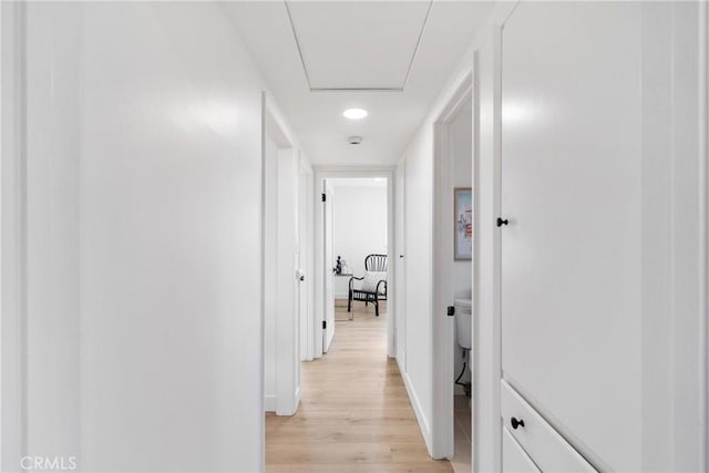13141 Willamette St, Westminster, CA 92683 - hallway featuring light wood finished floors and baseboards