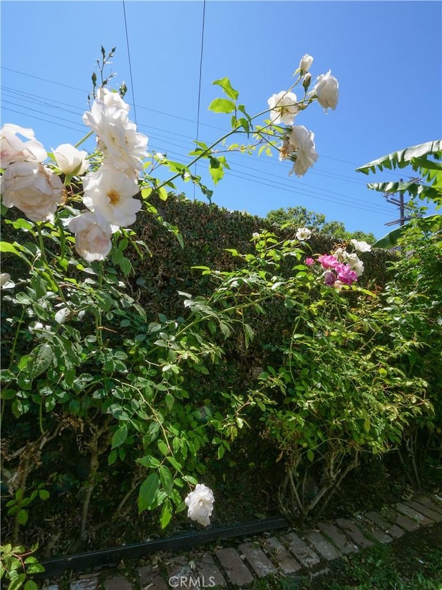 1569 W 218th St, Torrance, CA 90501 - photo 45
