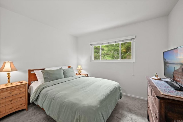 10160 Vista De La Cruz Ln, Mesa, CA 91941 - bedroom featuring light carpet and baseboards