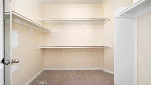 13849 Jackson St, Oak Hills, CA 92344 - walk in closet with carpet