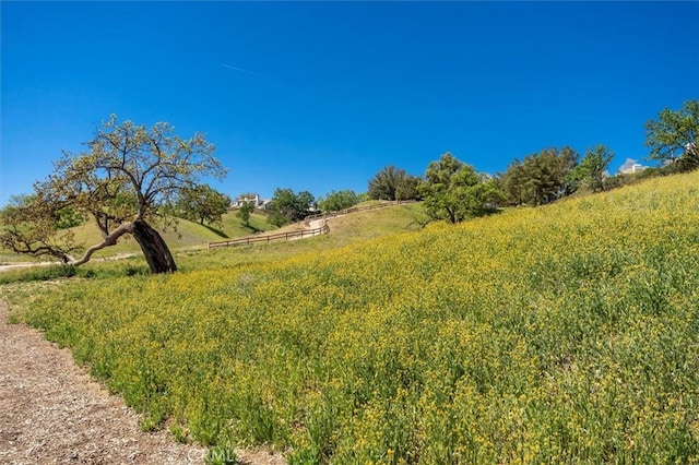 26309 Emerald Dove Dr, Valencia, CA 91355 - view of yard with a view of rural / pastoral area