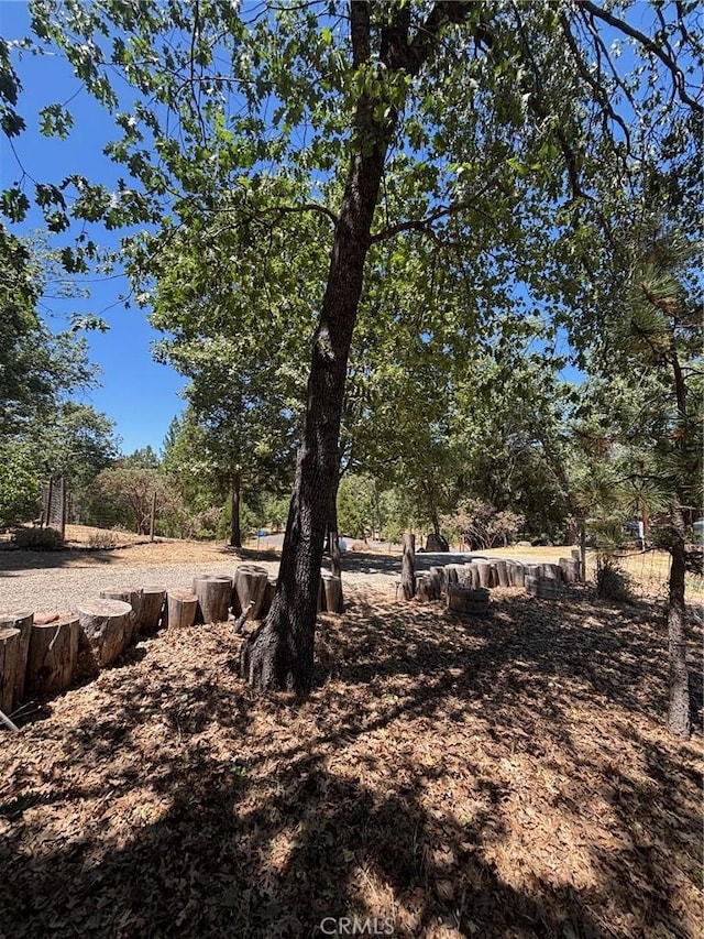 5615 Silver Strand Fall, Mariposa, CA 95338 - photo 9