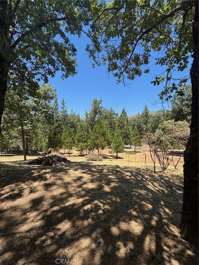 5615 Silver Strand Fall, Mariposa, CA 95338 - photo 25