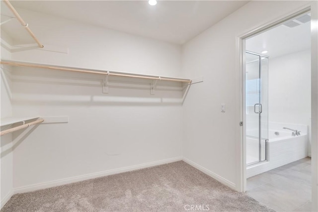 501 Pablo Rd Unit 48, Lake Elsinore, CA 92530 - walk in closet featuring light colored carpet