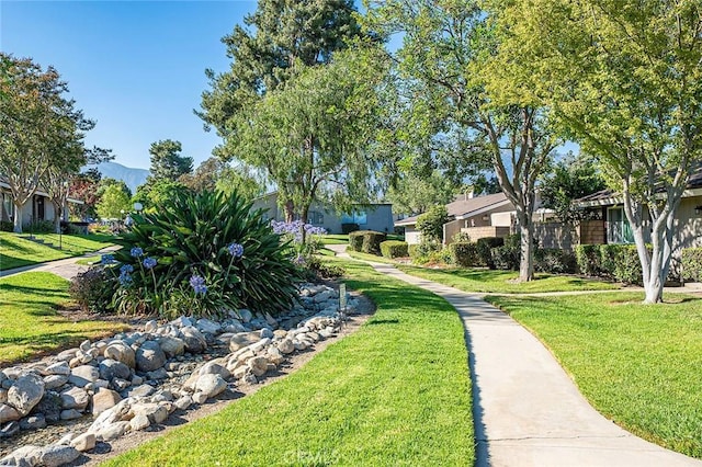 1616 Carmel Cir W, Upland, CA 91784 - photo 37