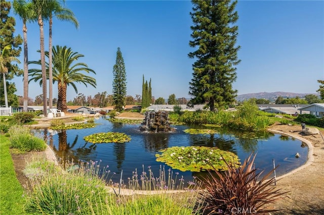 2851 Rolling Hills Dr Unit 45, Fullerton, CA 92835 - photo 37