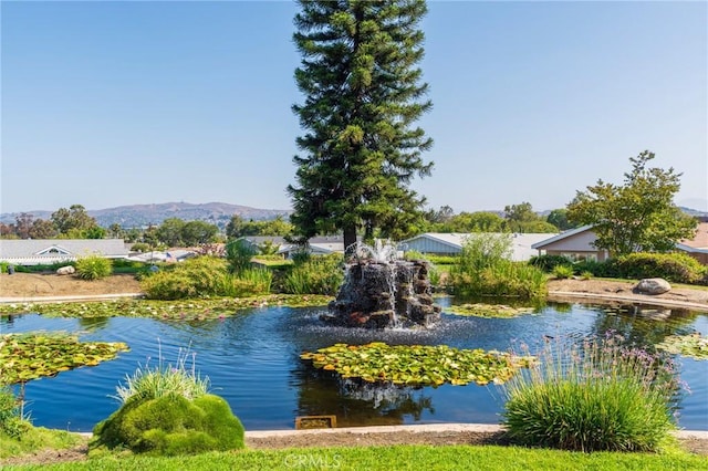 2851 Rolling Hills Dr Unit 45, Fullerton, CA 92835 - photo 36