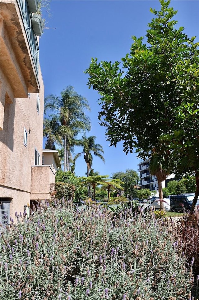 3439 Keystone Ave Unit 3, Los Angeles, CA 90034 - photo 4